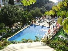 Andros hotels