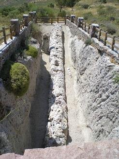 Versteende woud Lesbos