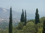 Zante landschap