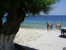 Samos, Agios Konstantinos beach