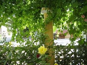 Samos, Ireon