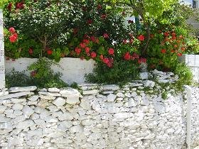 Fourni Town, Fourni stad