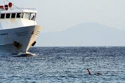 Ferry, veerboot, Iraklia
