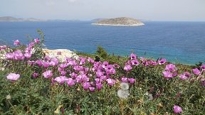 Iraklia
