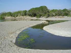 Lesbos, Skala Eressos