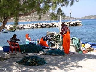 Tilos