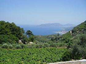 Samos, Vourliotes