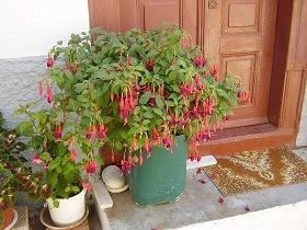 Samos, Vourliotes