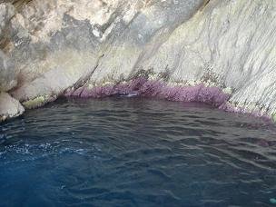 Zakynthos, Zante, Porto Vromi
