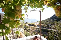 La Villa di Zazopetra