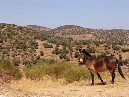 Kea Greece, Griekenland, &iuml;&iquest;&frac12; 2012 Hotel Karthea
