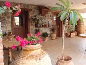 Kato Zakros, Terra Minoika Villas.