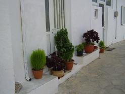 Agathia, Agatia Crete, Kreta