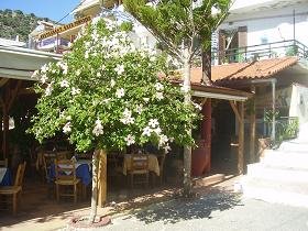 Agia Galini, Crete, Kreta