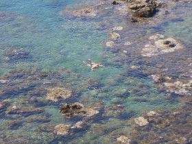 De prachtige stranden van Agios Pavlos op Kreta