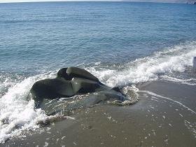 De prachtige stranden van Agios Pavlos op Kreta