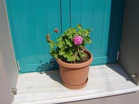 Almirida, Crete, Kreta