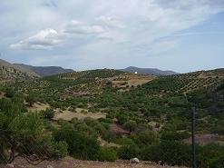 Andravasti Crete, Kreta