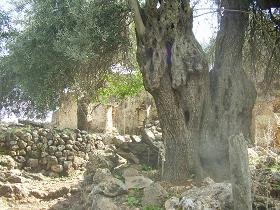 Aradena Kloof, Kreta, Aradena Gorge, Crete