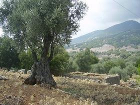 Aradena Kloof, Kreta, Aradena Gorge, Crete