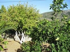 The Monastery of Aretiou Crete, het klooster van Aretiou op Kreta