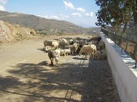 Argoules, Crete, Kreta