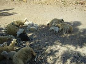 Argoules, Crete, Kreta