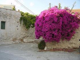 Het dorp Aspro bij Almirida, Kreta