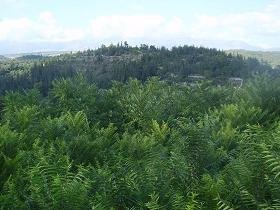 Aspro, Sophia's House, Villa in Crete, Almirida, Almyrida, Kreta