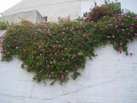 Astratigos, Rodopos, Kreta, Crete