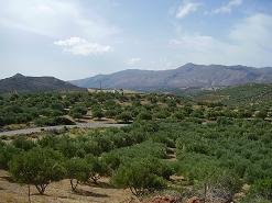 Azokeramos Crete, Kreta