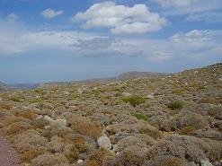 Azokeramos Crete, Kreta