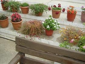 Fres, Apokoronas, Kreta, Crete