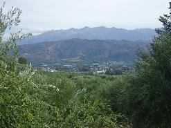 Galatas, Chania, Kreta.