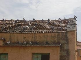 Gavalochori, Apokoronas, Kreta, Crete.