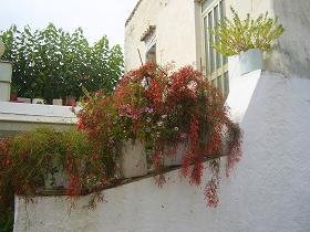 Gavalochori, Apokoronas, Kreta, Crete