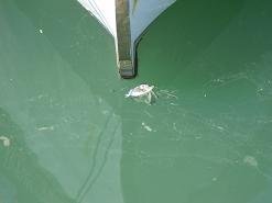 Heraklion Crete, Kreta