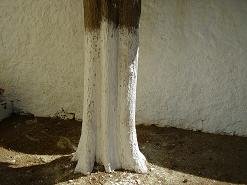 Houmeriakos, Houmeriako Crete, Kreta