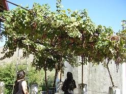 Houmeriakos, Houmeriako Crete, Kreta