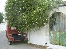 Kalamitsi, Apokoronas, Kreta, Crete