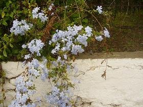 Kalamitsi, Apokoronas, Kreta, Crete