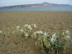 Kalives, Crete, Kreta.