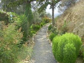 Ariana's Place, Kastelli Kissamos, Kreta, Crete