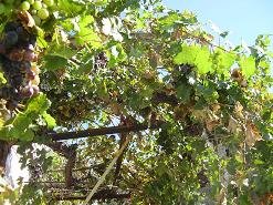 Het dorp Kasteli op Kreta, the village of Kasteli on Crete.