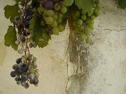 Het dorp Kasteli op Kreta, the village of Kasteli on Crete.