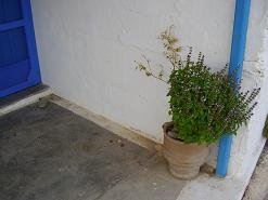 Kato Zakros.