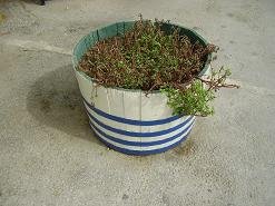 Kissamos, Kreta, Crete