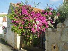 Kokkino Chorio, Kreta, Crete.