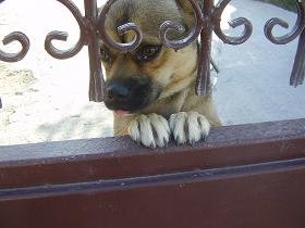 Kokkino Chorio, Kreta, Crete.