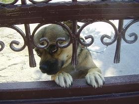 Kokkino Chorio, Kreta, Crete.